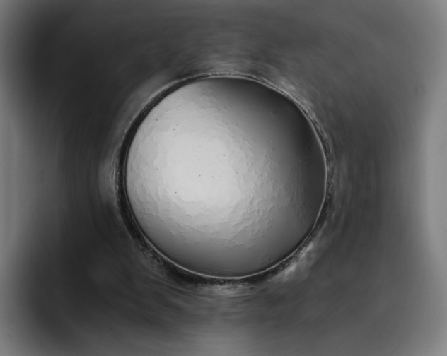 X0000093160103200710101201