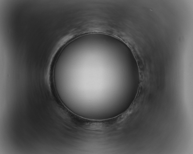 X0000093160104200710101201