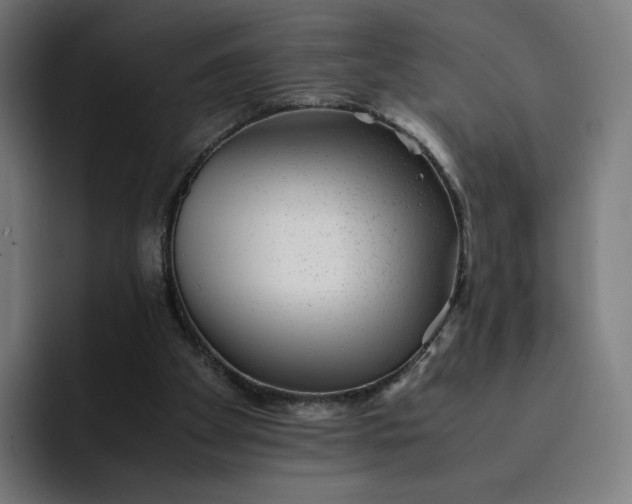 X0000093160105200710101201