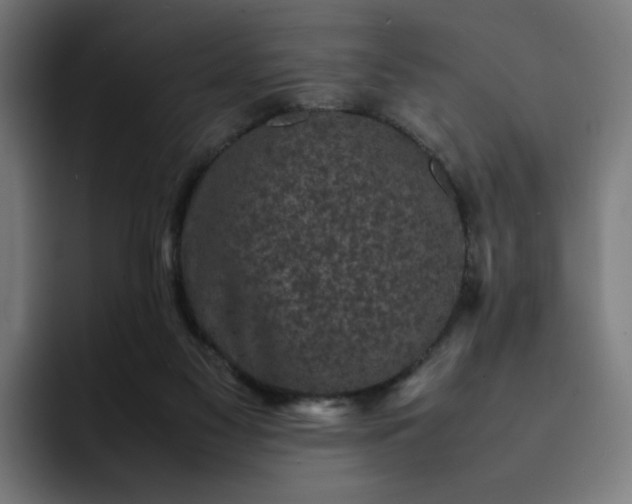 X0000093160117200710101201