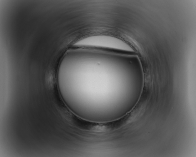 X0000093160119200710101201