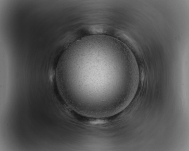 X0000093160125200710101201