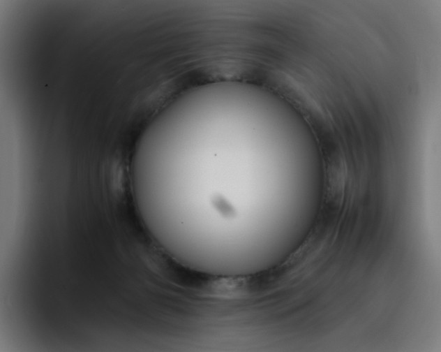 X0000093160126200710101201