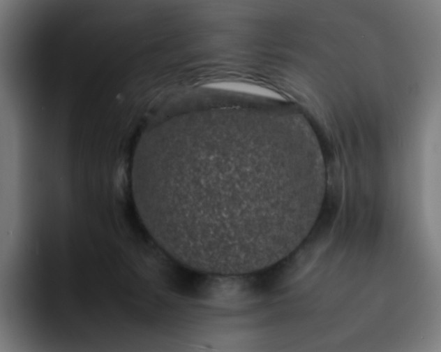 X0000093160127200710101201