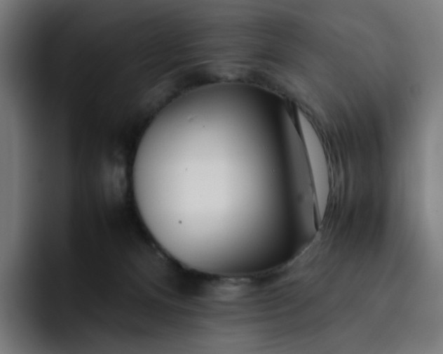 X0000093160128200710101201