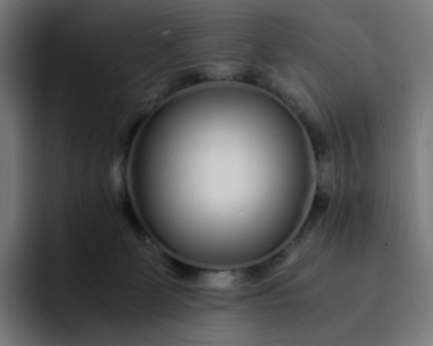 X0000093160131200710101201