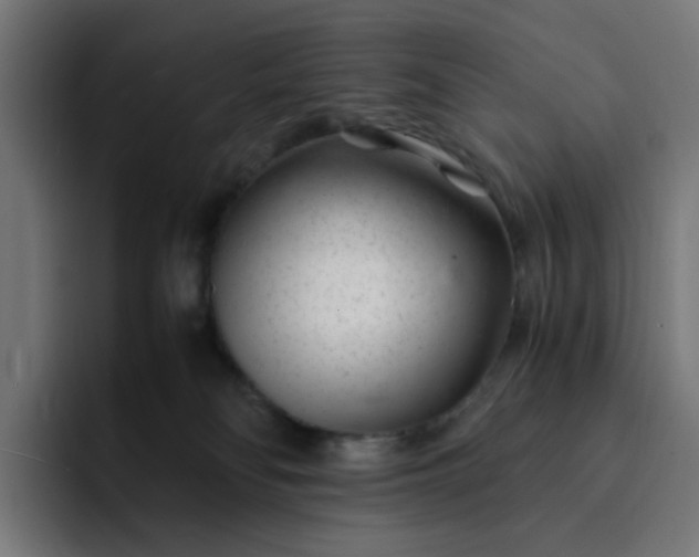 X0000093160134200710101201