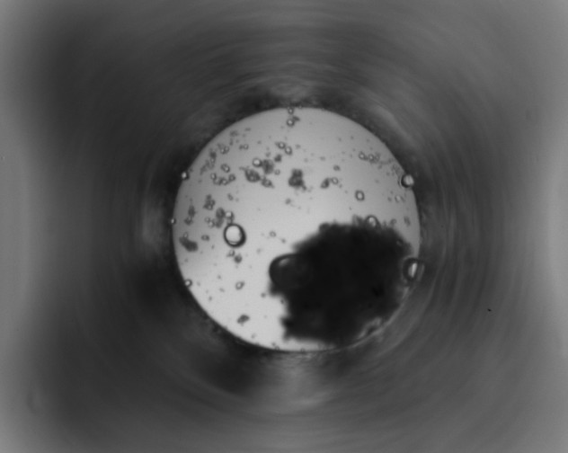 X0000093160136200710101201
