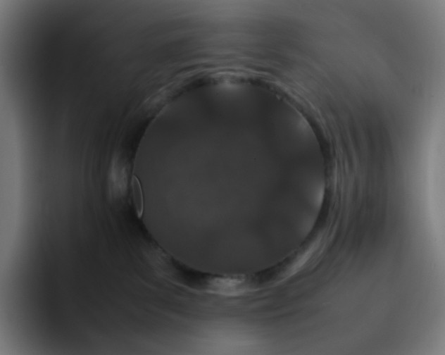 X0000093160139200710101201