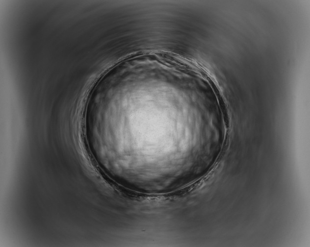 X0000093160145200710101200