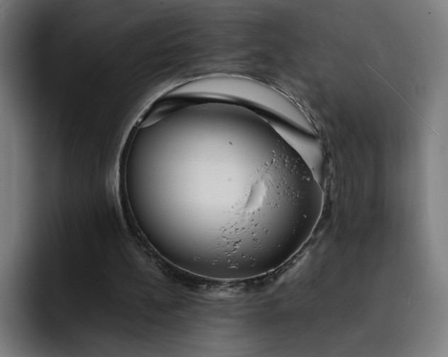 X0000093160148200710101200