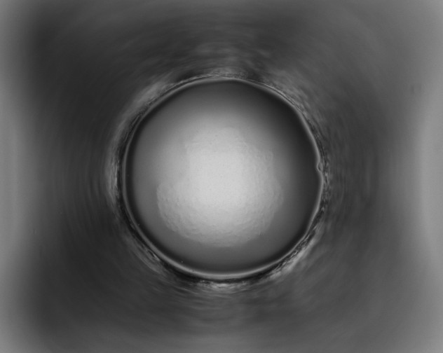 X0000093160149200710101200