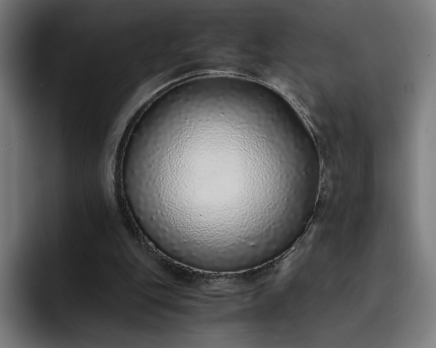 X0000093160151200710101200