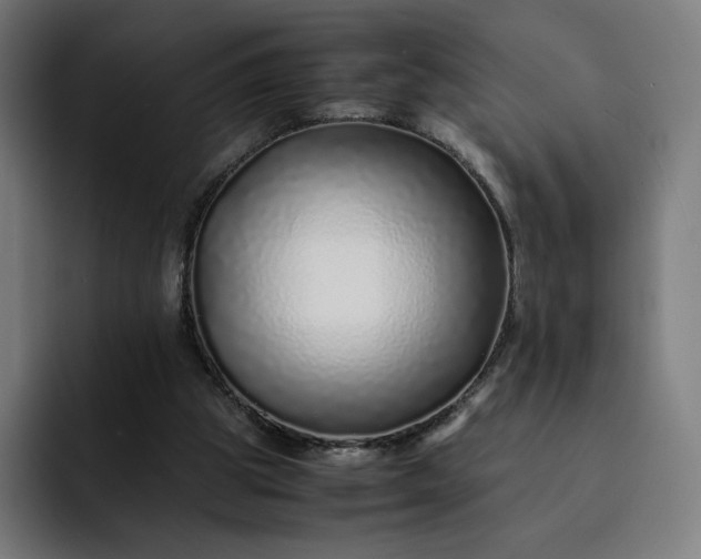 X0000093160153200710101200