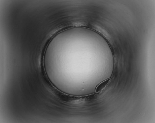 X0000093160155200710101200