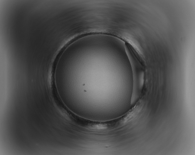 X0000093160156200710101200