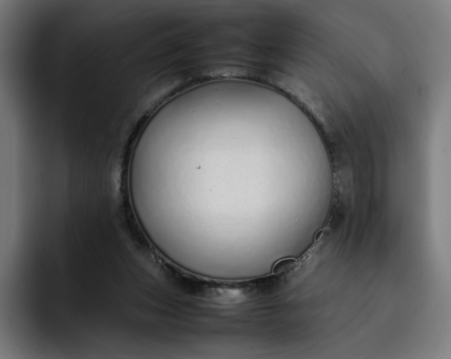 X0000093160159200710101200