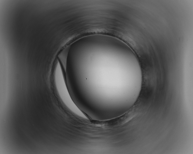 X0000093160160200710101200