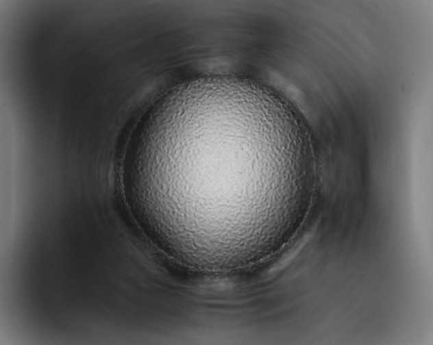 X0000093160161200710101200