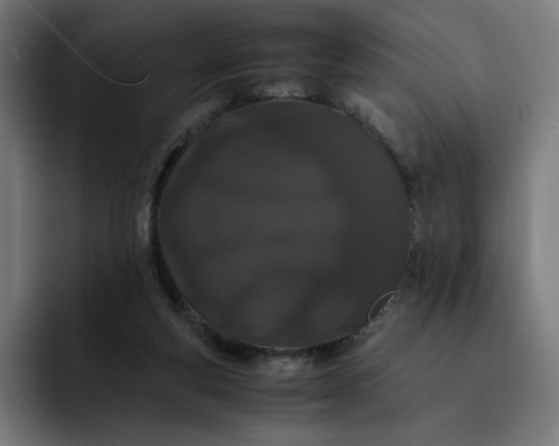 X0000093160163200710101200