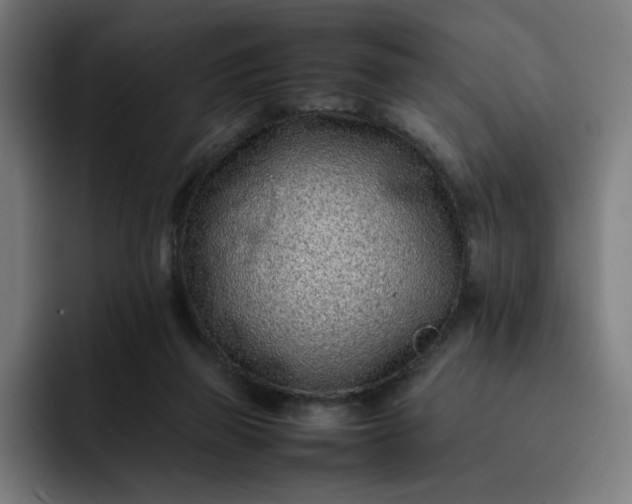 X0000093160165200710101200
