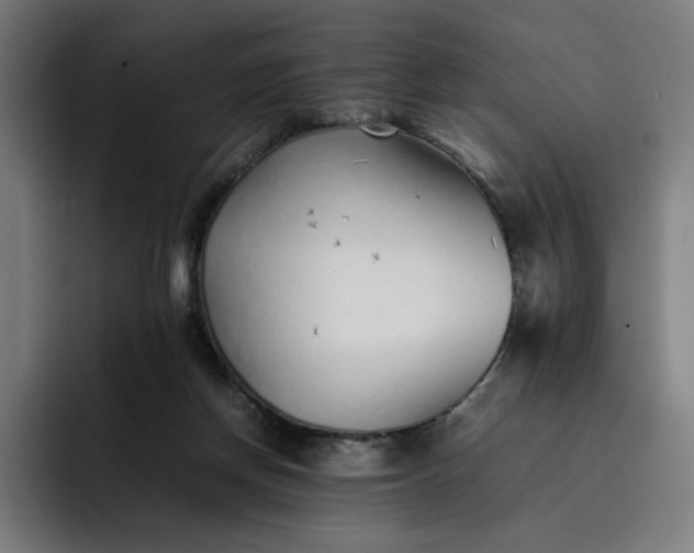 X0000093160166200710101200