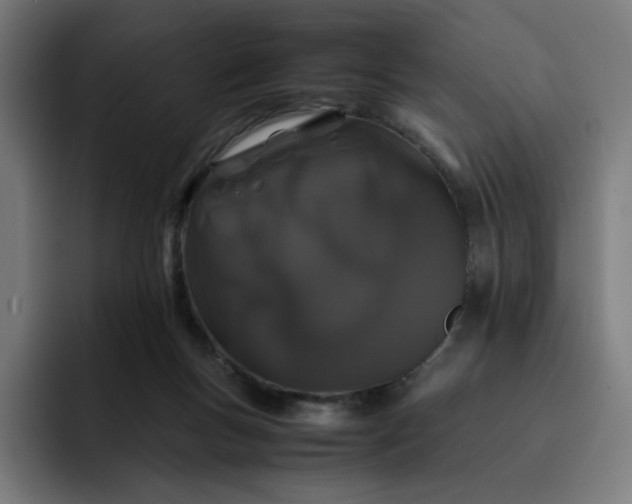 X0000093160167200710101200