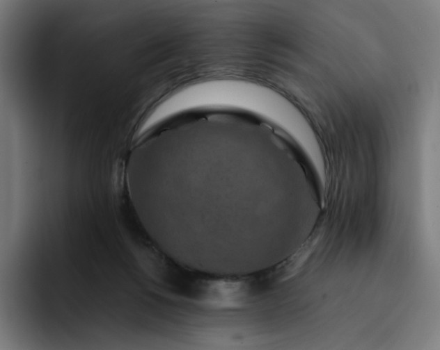 X0000093160168200710101200