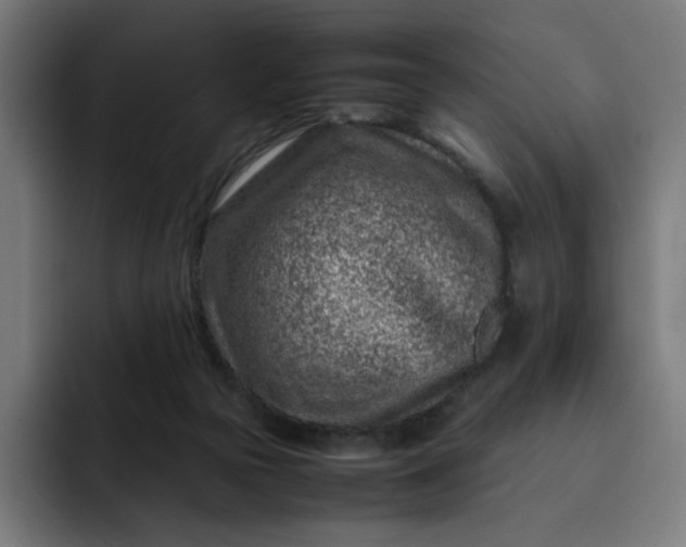 X0000093160169200710101200