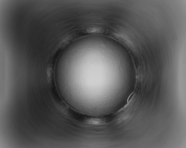 X0000093160171200710101200