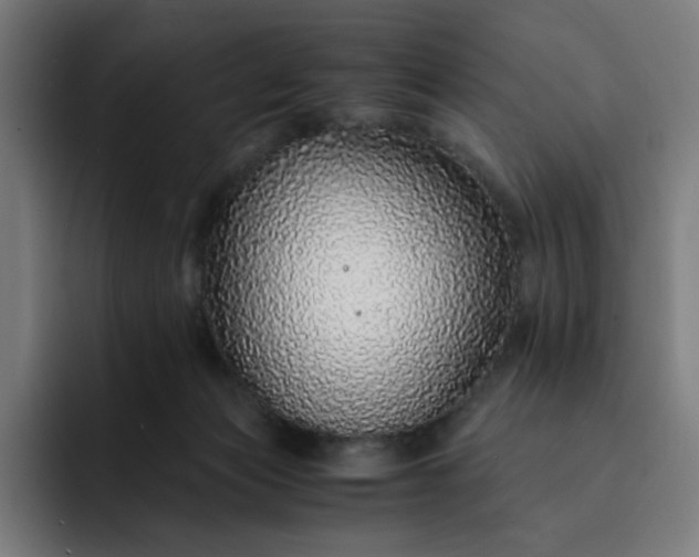 X0000093160173200710101200