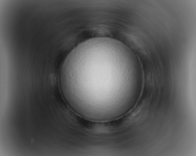 X0000093160177200710101200