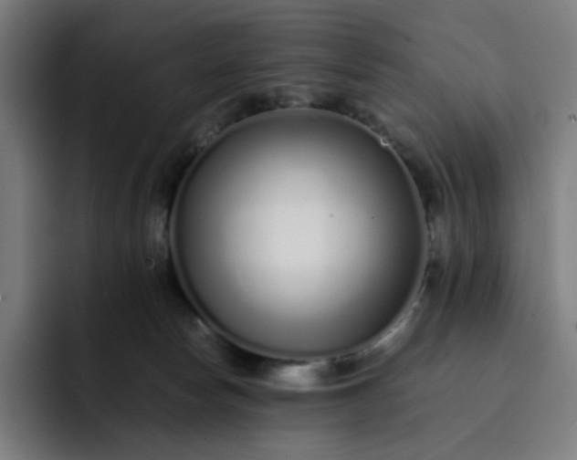 X0000093160178200710101200
