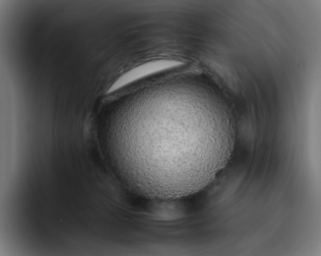 X0000093160181200710101200