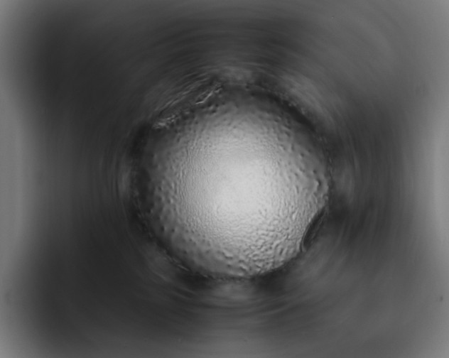 X0000093160185200710101200