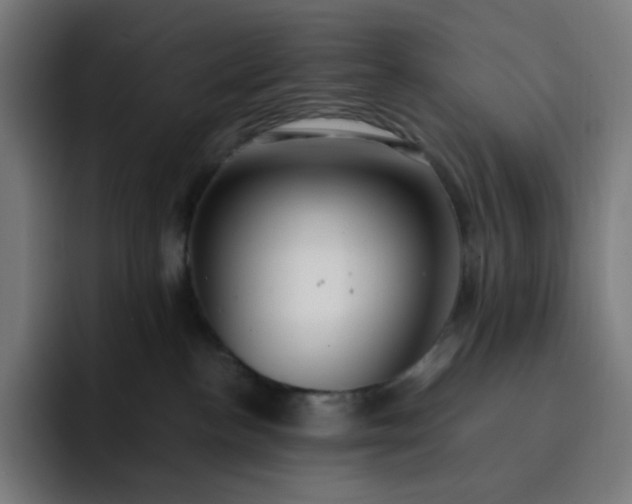 X0000093160188200710101201