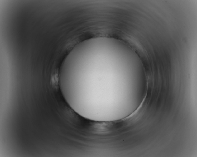 X0000093160190200710101201