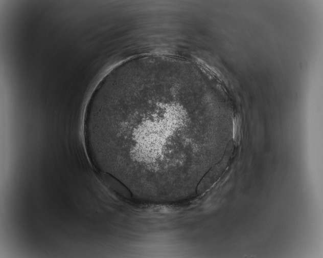 X0000093160195200710101200