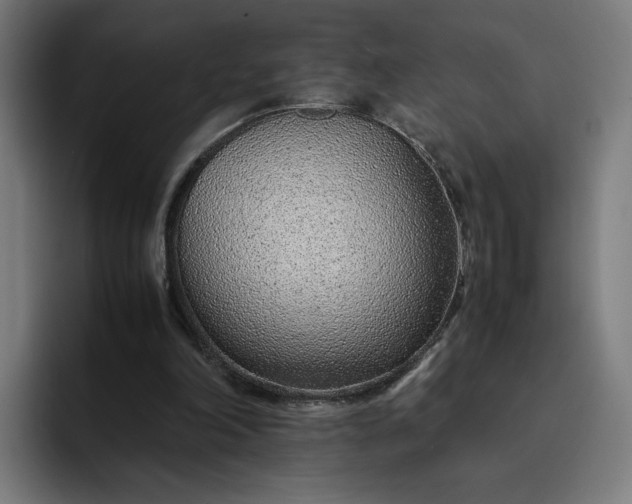 X0000093160198200710101200