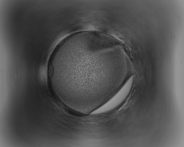 X0000093160200200710101200