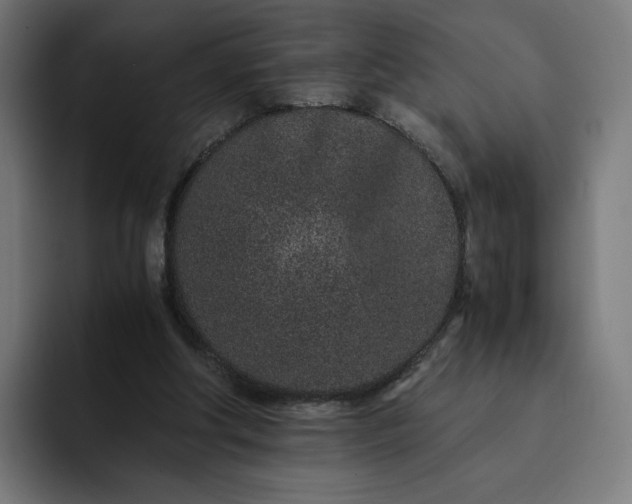 X0000093160202200710101200