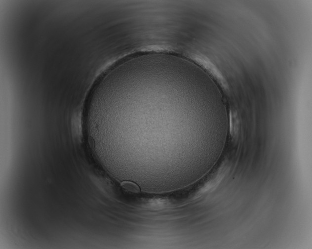 X0000093160204200710101200