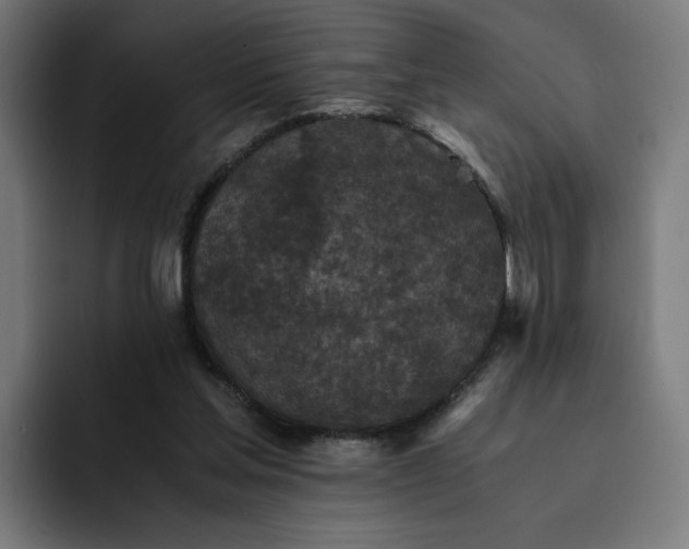 X0000093160205200710101200