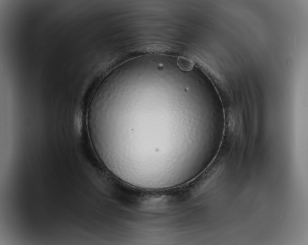 X0000093160206200710101200