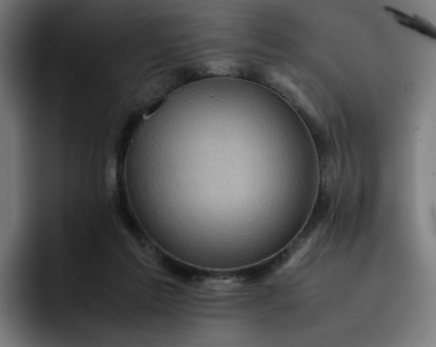 X0000093160213200710101200