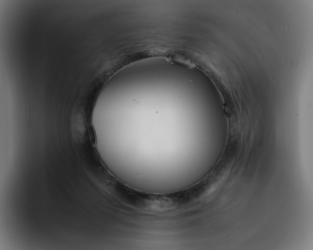 X0000093160215200710101200