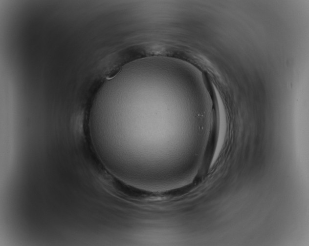 X0000093160217200710101200