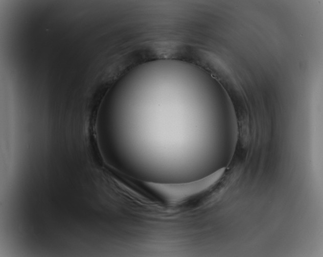 X0000093160221200710101200