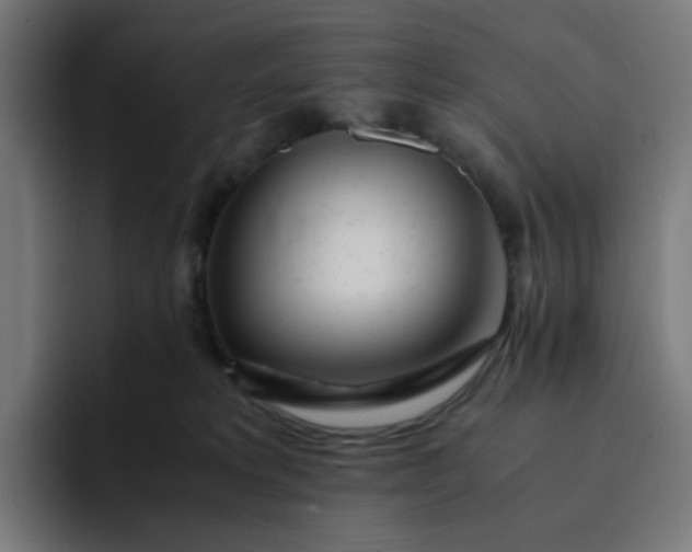 X0000093160229200710101200