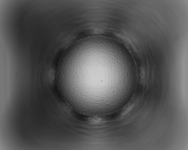X0000093160230200710101200